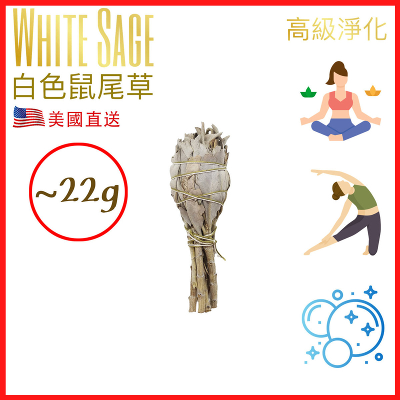 12CM about 22g California Pure White Sage Smudge Bundle Natural Burning Purify Stick PURE-WHITE-SAGE
