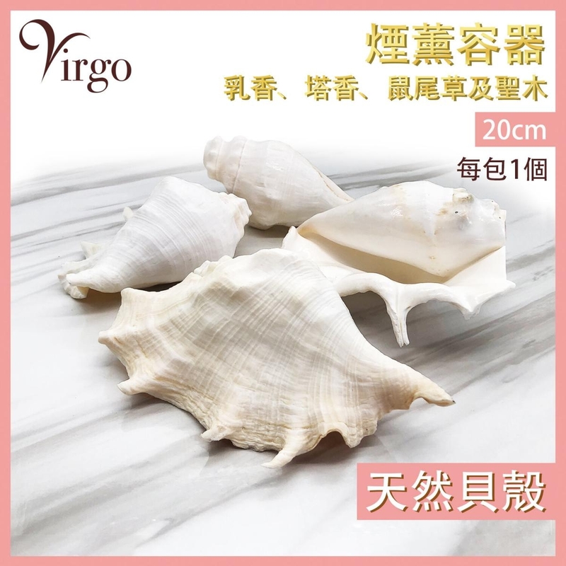 20cm 100% Natural sea shell burner Incense cone holder Smudging conch shell HIH-SHELL-20CM