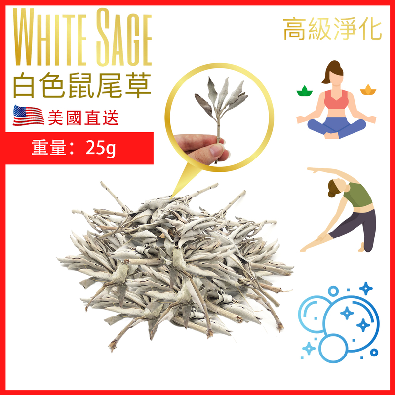 Incremental version 25G California Pure White Sage Smudge Clusters White Sage Leaf PURE-WHITE-SAGE-CLUSTER
