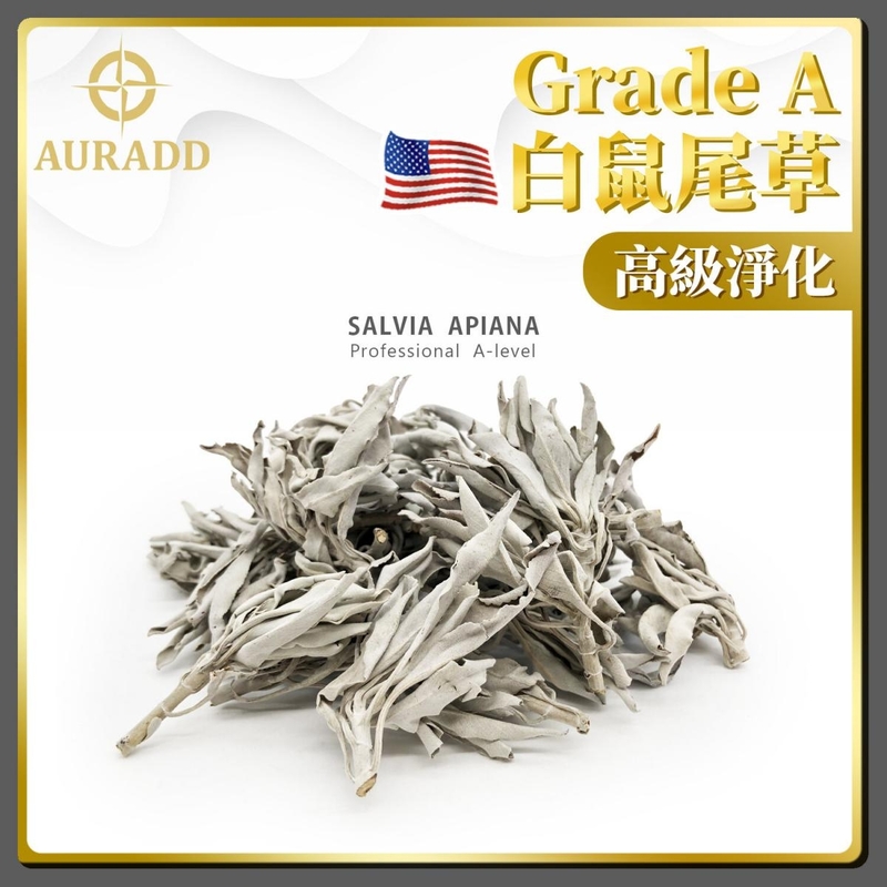 Grade A Professional grade big leaf sage(Salvia apiana) variety about ~25 grams (AD-SAGE-BL-25G)