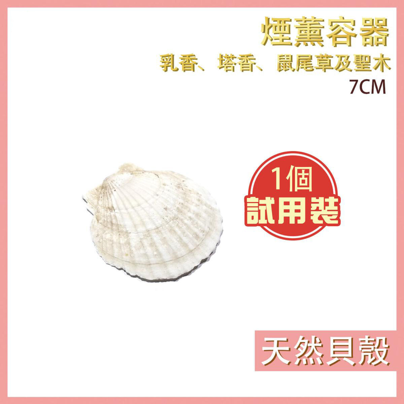 (SAMPLE) 7cm Natural sea shell frankincense & cone burner, palo santo holder