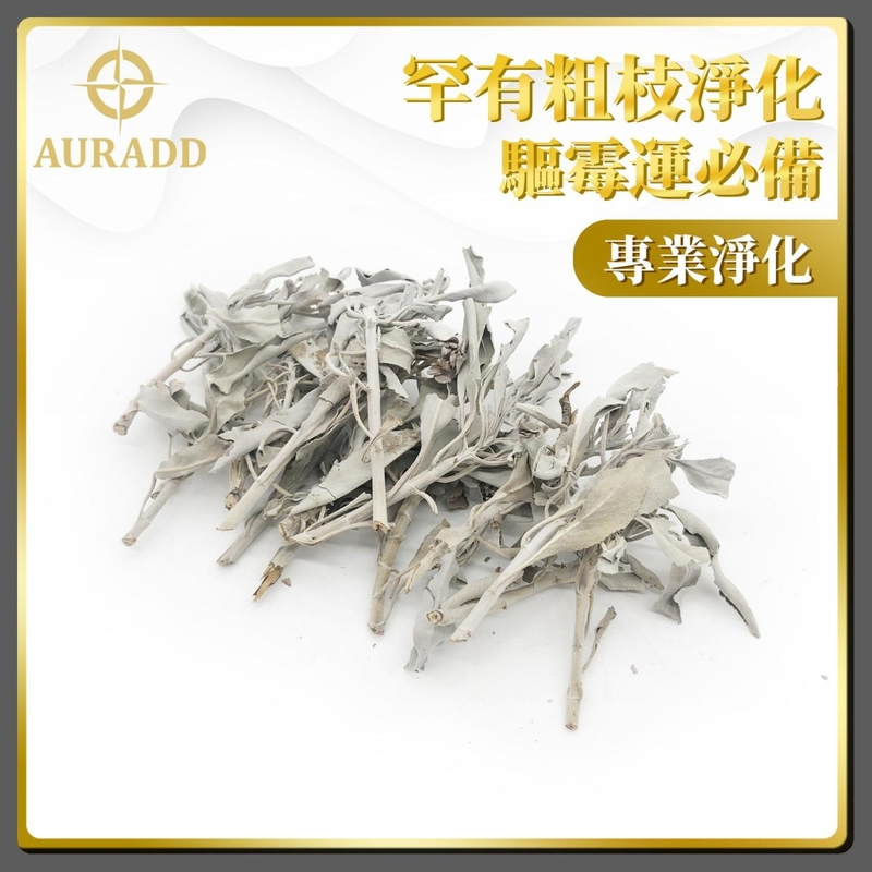 20g/pack Short branch and Leaves Professional Grade A American Natural White Sage Sprigs AD-SAGE-A02