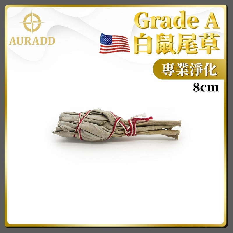 (8CM  Long Tie Up Pack) Professional Grade A American Natural White Sage Sprigs AD-SAGE-TU08