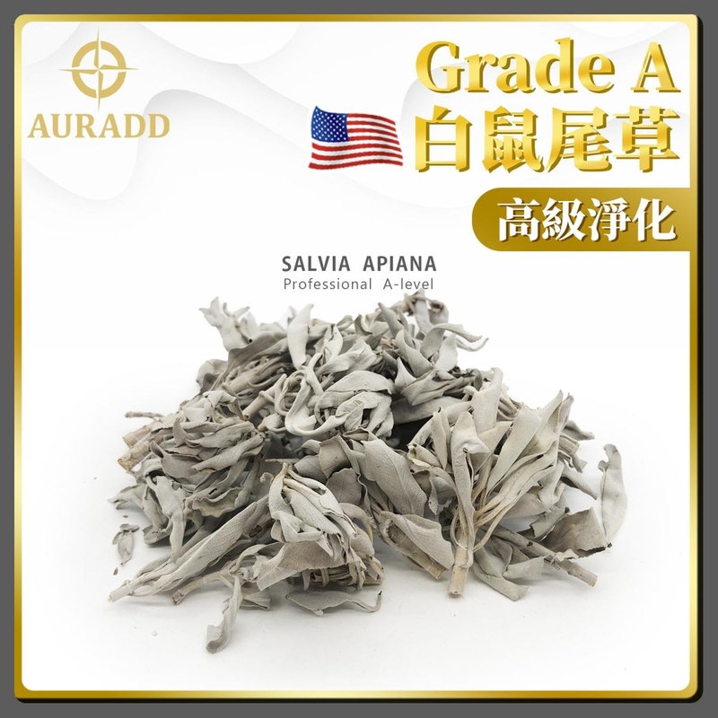 25g/pack Short branch and  Leaves Professional Grade A American Natural White Sage Sprigs AD-SAGE-BL-25